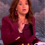 The View 2026 Ana Navarros Burgundy Blazer